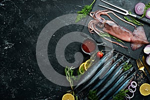 Seafood banner. Raw Saury fish and squid.