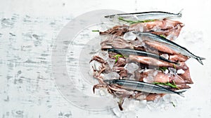 Seafood banner. Raw Saury fish and squid.