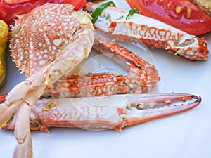 Seafood - big crab with claws on the white plate with tomato. Closeup.