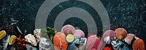 Seafood on a black stone background: salmon, tuna, caviar, oysters, dorado fish and shellfish on a blue wooden background.