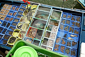 Seafood boat Sai Kung Pier, Sai Kung District Hong Kong