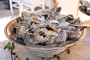 seafood buffet with oysters