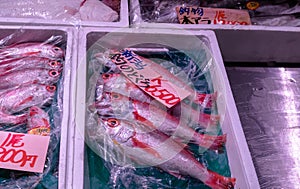 Seafood choice at famous Tsukiji Fish Market in Tokyo, Japan