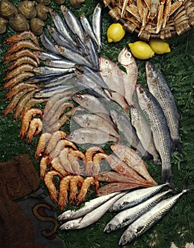 Seafood composition