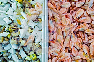 Seafood. in a container frozen shrimp photo