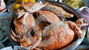 Seafood - Cooked blue crabs