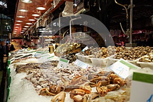 Seafood on the counter