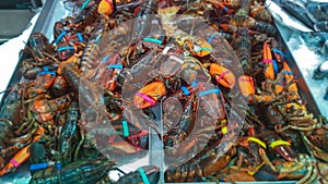 Seafood crab