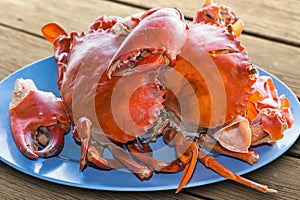Seafood (crab)