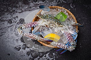 Seafood crab on ice - Fresh raw Blue Swimming Crab ocean gourmet with ice on dark background in the restaurant