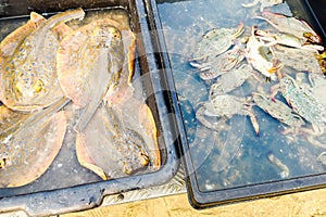 Seafood delicacies. Freshly caught stingrays and crabs are on sale at the local fish market