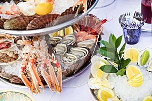 Seafood dish, oysters and fish served on restaurant table