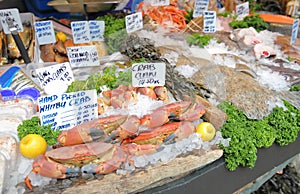 Seafood display Borough market London UK photo