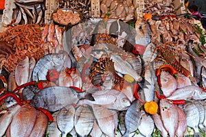 Seafood of Essaouira, Morocco