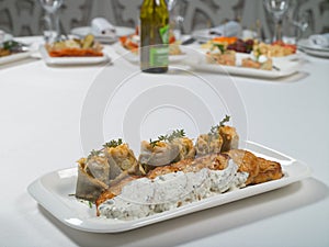 Seafood. Fish cakes and cheese rolls stuffed with fish fillet on a plate on a white background