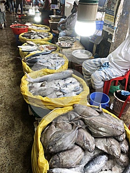 Seafood at the fish market