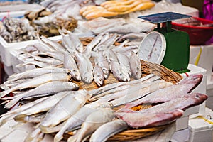 Seafood fish market in Asia