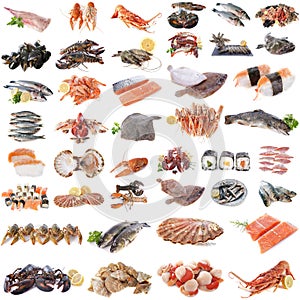 Seafood, fish and shellfish