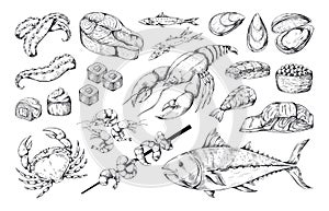 Seafood fish. Vintage food sketch. Animal sea products for Japanese sushi menu. Lobster and salmon. Kitchen gourmet