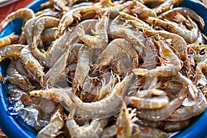 Seafood. Fresh Caught Shrimps ( Prawns ) At Farmers Market. Heal