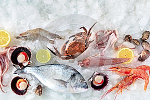 Seafood. Fresh fish and sea food on ice, overhead flat lay view. A background
