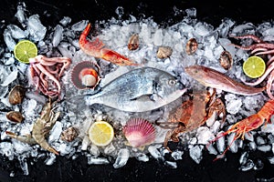 Seafood. Fresh fish and sea food on ice, overhead flat lay view on black