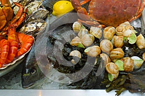 Seafood Fresh Ingredients