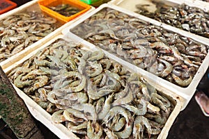 Seafood fresh sea food