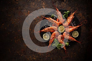 Seafood on a grungy rusty background