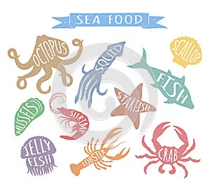 Seafood hand drawn colorful vector illustrations on white background, elements for restaurant menu design, decor, label.