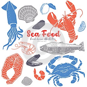 Seafood hand drawn illustration