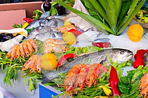 Seafood on the ice