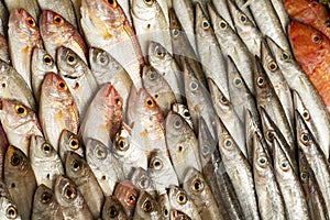 Seafood on ice at the fish market