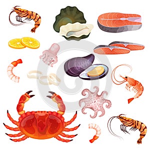 Seafood isolated on white, set of fresh ocean delicacies, oyster, prawn and shrimp, vector illustration