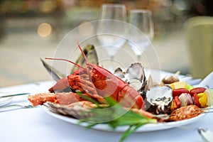 Seafood lobster on table