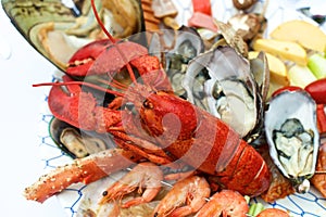 Seafood lobster on table