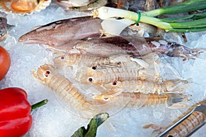 Seafood market. Fresh shrimps and squids on ice sold on the italian outdoor market. Sea food, shellfish