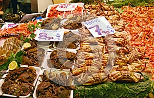 Seafood in market photo