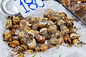 Seafood market in Naklua near Pattaya Thailand