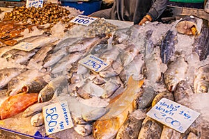 Seafood market in Naklua near Pattaya Thailand