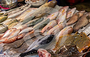 Seafood market in Naklua near Pattaya Thailand
