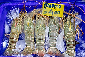 Seafood market in Naklua near Pattaya Thailand