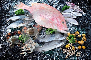 Seafood in market over ice