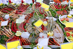 Seafood in market over ice