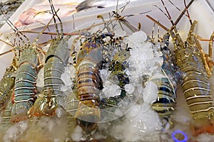 Seafood on market in Thailand