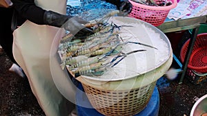 The Seafood Market in Thailand Southeastasia