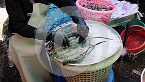 The Seafood Market in Thailand Southeastasia