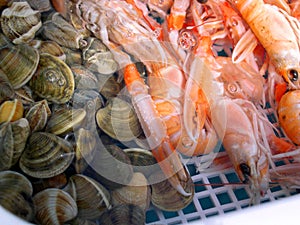 Seafood in Nerja Spain