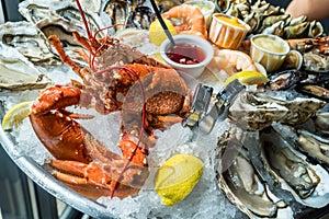 Seafood plate. Different molluscs and crustaceans on ice photo