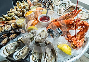 Seafood plate. Different molluscs and crustaceans lay over ice photo